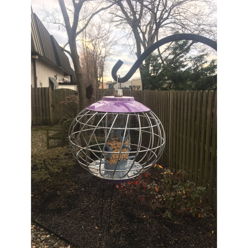 The Nuttery Helix Hopper Bird Feeder Wayfair